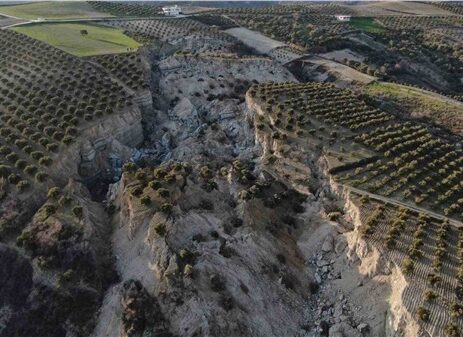 DEPREM ÜLKESİNDE TARIM VE TARIM SİGORTASI