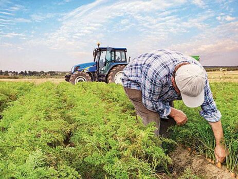 TÜRKİYE'DE TARIM ve GIDA MAHKEMELERİ VAR MI?
