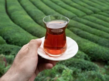 ÇAY İLE İLGİLİ MEVZUATIMIZIN GELİŞİMİ VE YENİ BİR ÇAY KANUNU HAZIRLANMASININ GEREKLİLİĞİ ÜZERİNE KISA BİR DEĞERLENDİRME