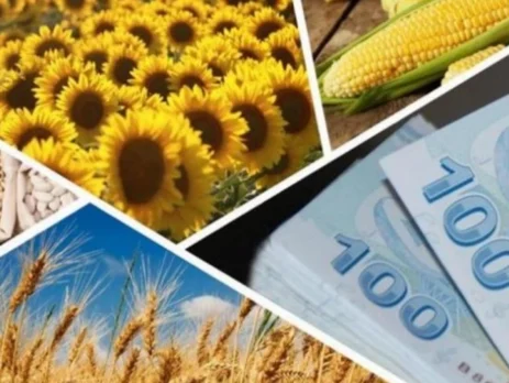 5488 Sayılı Kanun Uyarınca Yürütülen Tarımsal Destekleme Ve Uygulamada Karşılaşılan Sorunlar