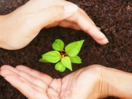 DEVLET DESTEKLİ TARIM SİGORTALARI VE SİGORTA SÜREÇLERİNDE ÇIKABİLECEK HUKUKİ UYUŞMAZLIKLARDA BAŞVURU YOLLARI